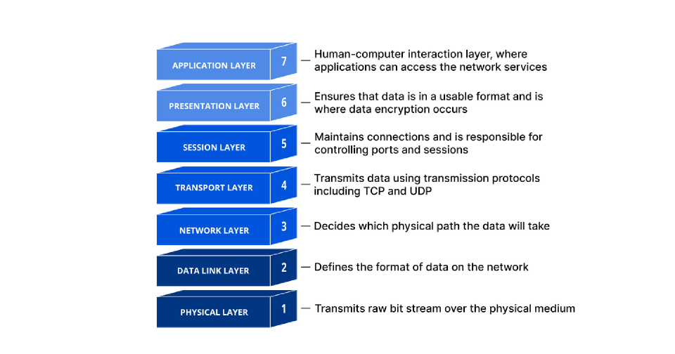 The seven OSI layers